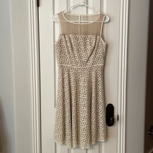 Adrianna Papell dress